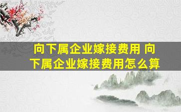 向下属企业嫁接费用 向下属企业嫁接费用怎么算